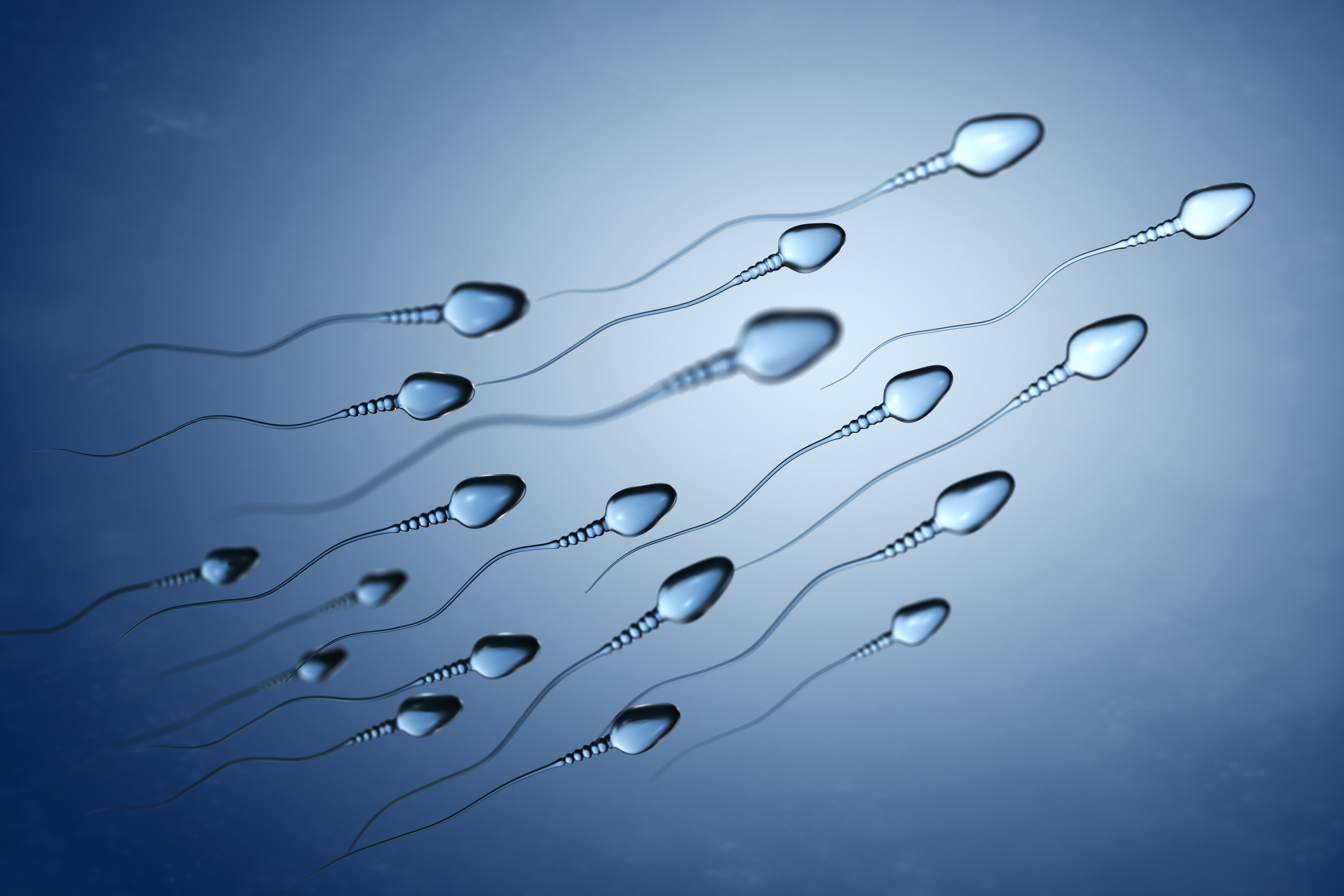 Reproducción - Diferencias entre infertilidad y esterilidad y tratamientos