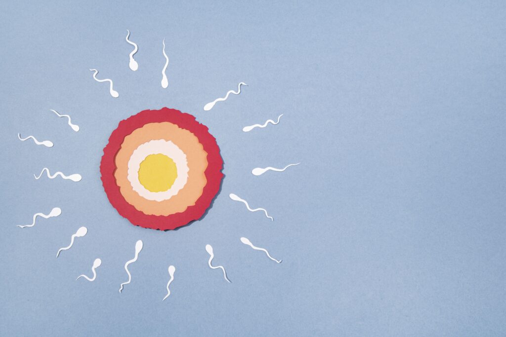 Ilustración ovario rodeado por espermatozoides.