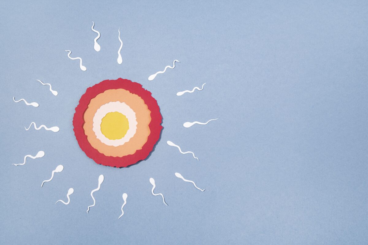 Ilustración ovario rodeado por espermatozoides.