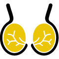 icono testículos