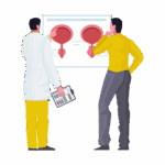 Ilustración vejiga uretra